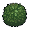 bush